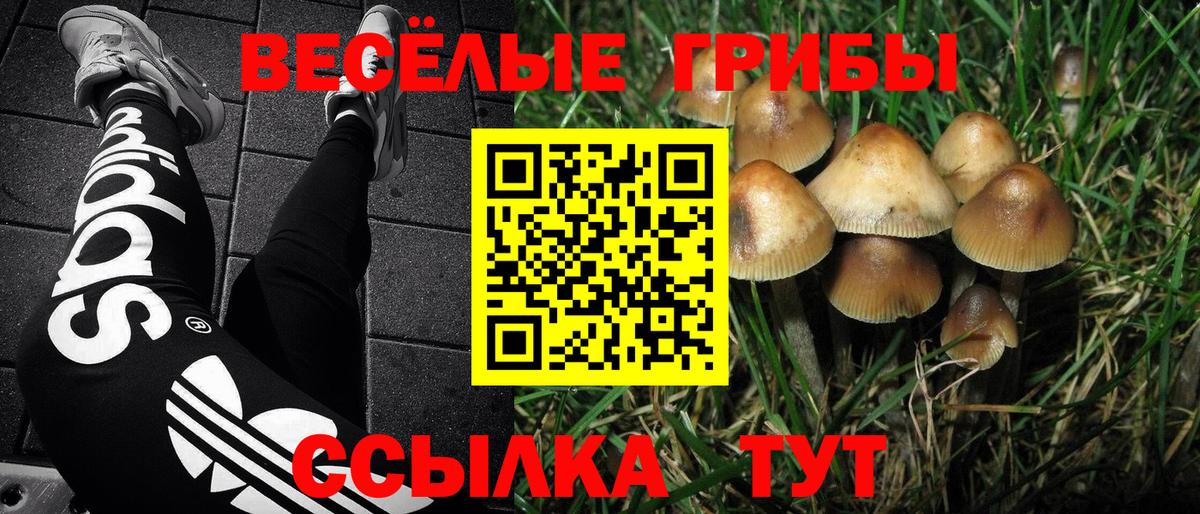 Псилоцибиновые грибы Psilocybe  Вход с VPN  Йошкар-Ола 