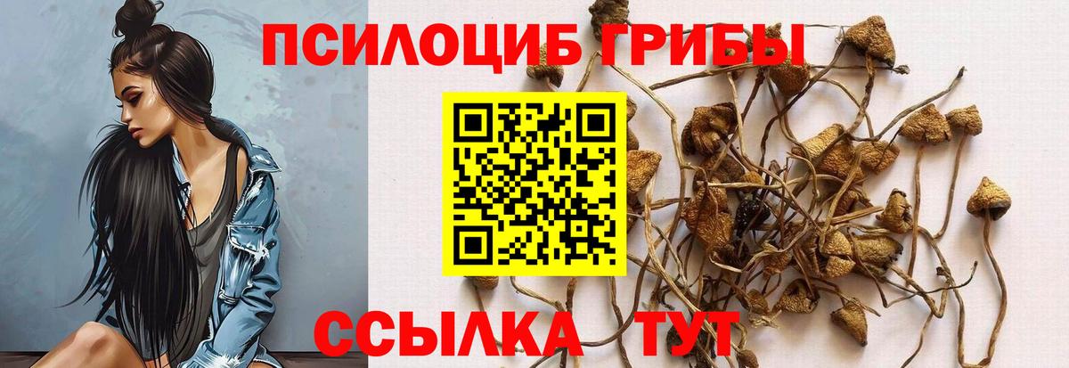 Псилоцибиновые грибы ЛСД Йошкар-Ола